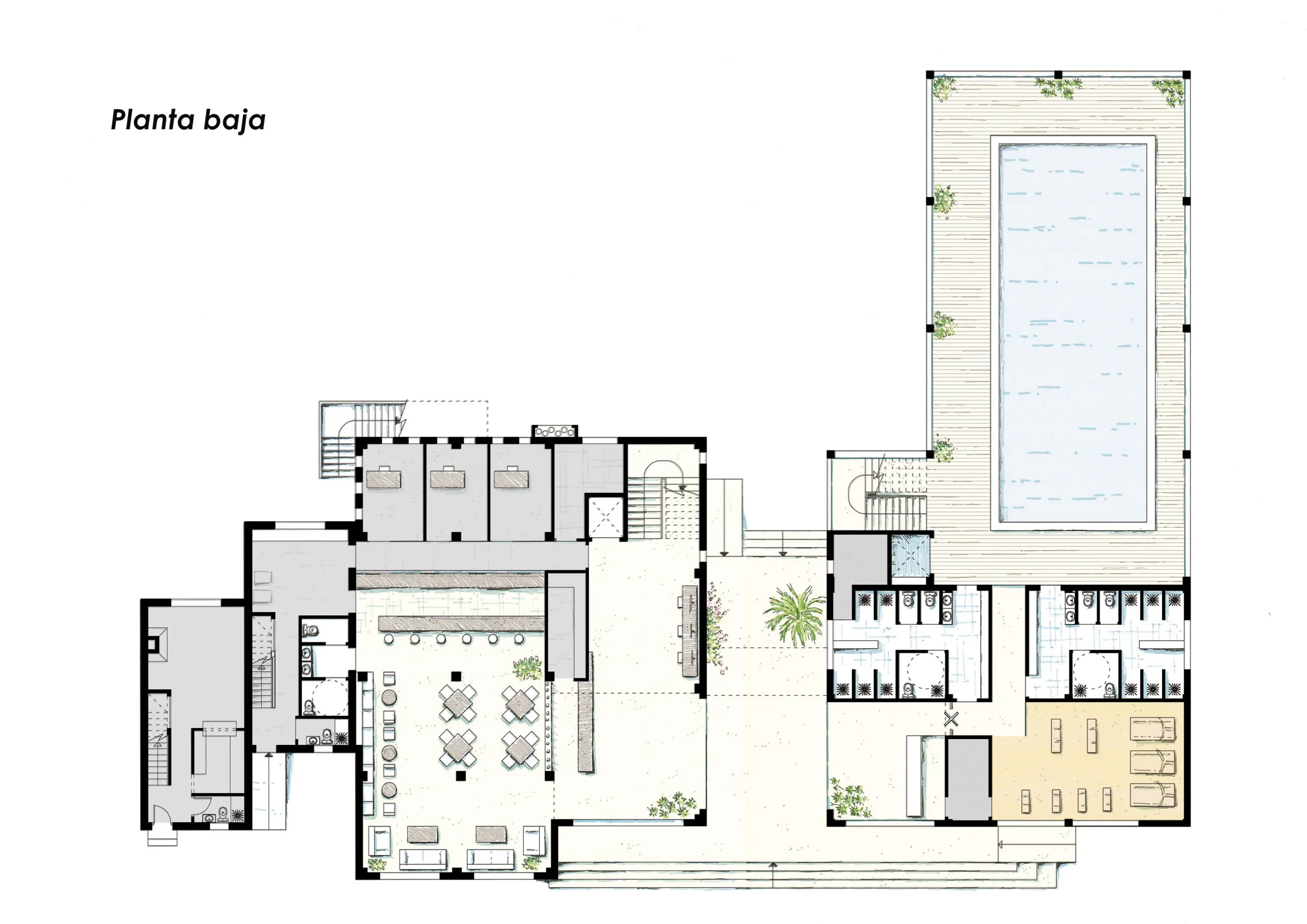 planta baja dibujada
